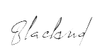 Blackvud Logo